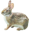 ETM͕̂Ă