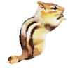 ]ẺAł